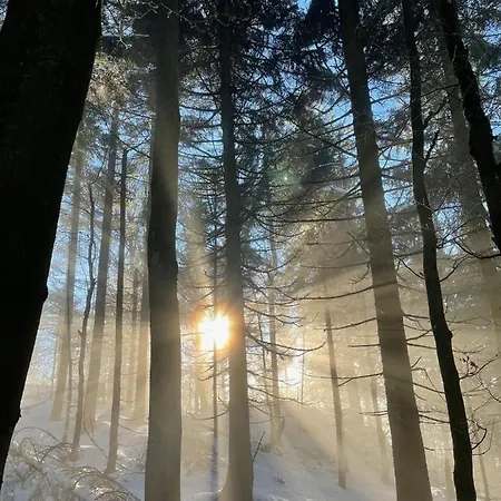 Haus Wiesenblick Apartmán Thurmansbang
