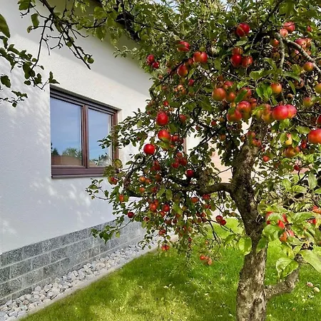 Apartmán Haus Wiesenblick *